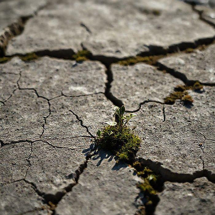 Imagem sobre Conexão